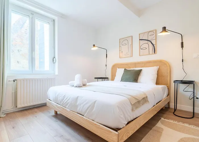 Beautiful Renovated Appart In The Center Of Lille